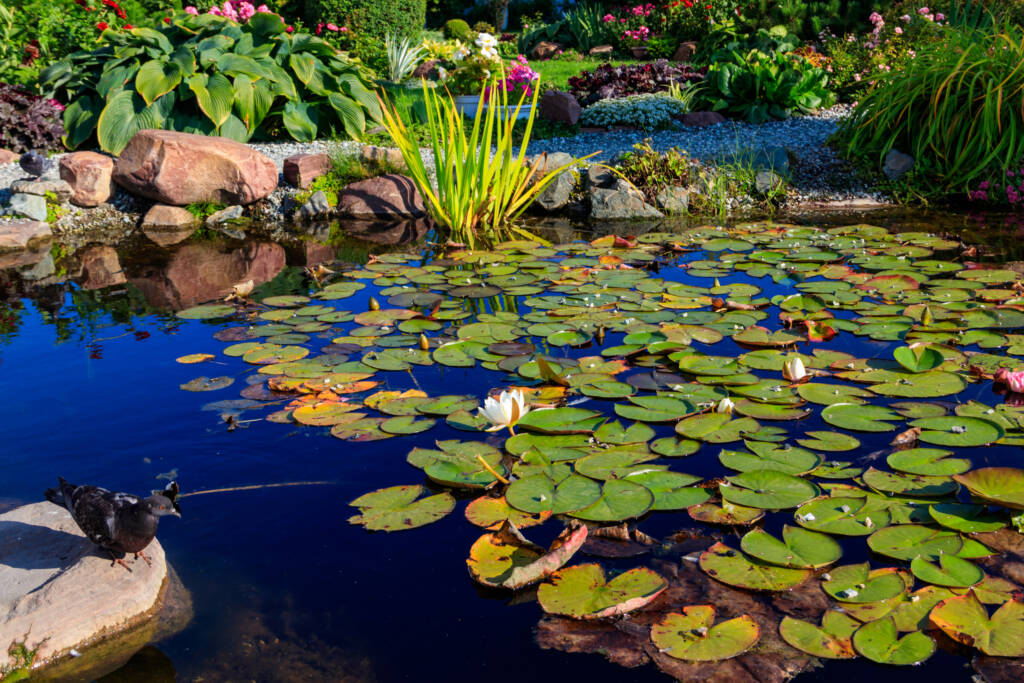 Go au naturale. AdobeStock 297743012 1024x683 1