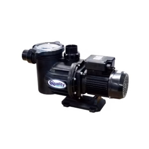 quality baracuda swimflo 2 pump