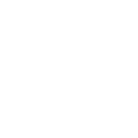 2 1m extended reach icon