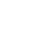 250mm brush head icon
