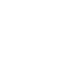 Stainless Steel Bristles icon